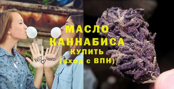 МДПВ Инта
