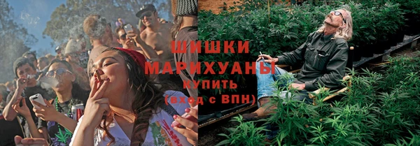 прущая мука Инсар