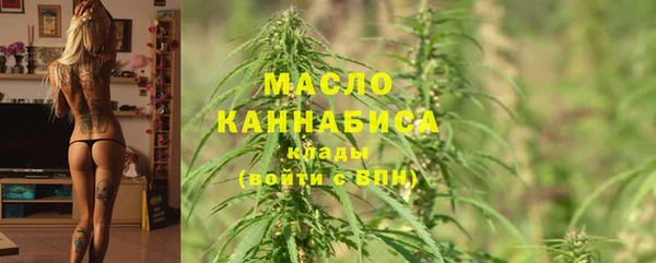 МДПВ Инта