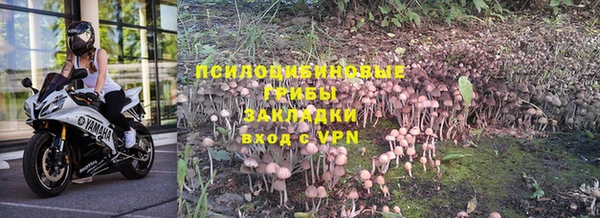 МДПВ Инта