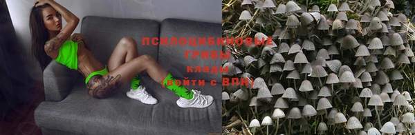 МДПВ Инта