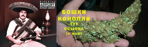 прущая мука Инсар
