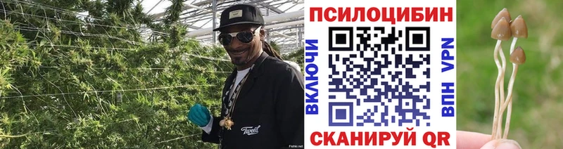 Галлюциногенные грибы Psilocybe  Купить где  Усолье-Сибирское 